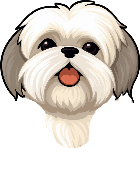 Cute Shih Tzu Dog